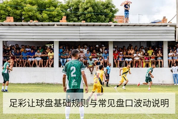 足彩让球盘基础规则与常见盘口波动说明